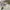 GRAMICCI LOOSE TAPERED PANTS Natural / Celana Gramicci photo 8