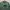 Crewneck National Geographic Big Logo Bordir Patch Green 