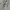 Zipper Hoodie THOM BROWNE Classic 4 Bar Heather Grey photo 5