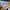 Nike Casual Jersey Pria multicolor photo 4