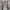 Isaac Sellam Experience Assymetrical Leather Jacket Puffer photo 7
