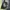 SHANG Hooded Utility Vest Y2K Techwear Avant-Garde Zip-Up photo 6