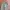 Streetwear Gorpcore Sweatpants & Joggers Pria green photo 6