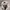 TBJ Nearby Minimalist Puffer jacket Pria white black photo 4