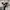 TBJ Nearby Minimalist Puffer jacket Pria white black photo 5