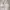 TBJ Nearby Minimalist Puffer jacket Pria white black photo 2