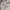 TBJ Nearby Minimalist Puffer jacket Pria white black photo 1