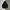 Uniqlo Streetwear Skater Hoody Pria black photo 1