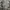 Celana cargo Allix Design Wear camo vintage second photo 2