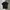 Uniqlo Streetwear Skater Polo Shirt Pria Black