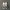 Sportswear Pria white gray photo 1