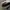 Vintage Sportswear Hat Pria white photo 4