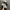 Nike Air Max 95 Essential Ashen Slate Gray photo 2
