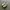 Nike Air Max 95 Essential Ashen Slate Gray photo 3