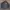 NII Casual Bomber jacket Pria black photo 1