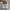 New Balance Streetwear Sportswear Sneakers Wanita tan photo 4