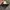 Nicole Hideaway faux fur hooded jacket Y2K vkei ifsixwasnine photo 5