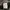 Nicole Hideaway faux fur hooded jacket Y2K vkei ifsixwasnine photo 6