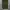 GU GREEN OLIVE CARGO SHORTPANTS photo 3