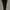 Uniqlo Streetwear Sportswear Sweatpants & Joggers Pria black photo 1