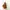 Coach COC Teri in Signature Shoulder & Crossbody Bag in Tan/ photo 3
