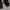 Uniqlo Streetwear Sportswear Sweatpants & Joggers Pria black photo 5