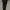 Uniqlo Streetwear Sportswear Sweatpants & Joggers Pria black photo 2