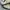 Adidas Casual Casual shoe Pria white green photo 2