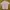 KAVU EXPLORER HIDDEN POCKET MOUNTAIN OUTDOOR HIKING CLIMBING photo 9