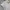 Mademoiselle non non flowers Japan shirt y2k photo 2