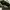 Adidas Streeball Savanah 2 photo 5