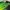 Streetwear Sportswear Jersey Pria green photo 2
