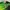 Streetwear Sportswear Jersey Pria Green