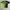 Streetwear Sportswear Jersey Pria green photo 1