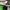 Streetwear Sportswear Jersey Pria green photo 3