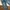 P* PRICKLY CHOLLA RARE DENIM JEANS PECAH POLA photo 7