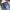 Ocean Pacific 00’s Denim Pants Vintage photo 6