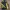 Streetwear Windbreaker Pria green photo 3