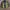 Streetwear Windbreaker Pria green photo 1