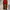 Deuter Gorpcore Sportswear Wanita red photo 4