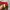 Deuter Gorpcore Sportswear Wanita red photo 6