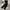 The North Face Gorpcore Tracksuit Pria black photo 1