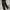 The North Face Sportswear Casual Tracksuit Pria black photo 2