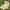 Long Dress Beige Model Kimono Dress photo 2