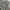 long pants cargo multi pocket camo photo 8