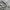 long pants cargo multi pocket camo photo 9
