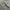 long pants cargo multi pocket camo photo 7
