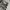 long pants cargo camo / army photo 2