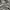 long pants cargo camo / army photo 6
