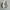 Adidas Casual Casual shoe Pria white cream photo 7